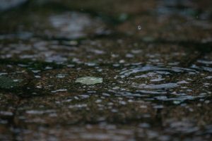Raindrops rippling into a puddle on saturated ground